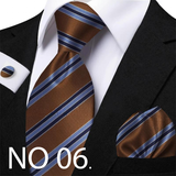 Funki Buys | Neckties | Men's 3 Pcs Striped Jacquard Tie Set