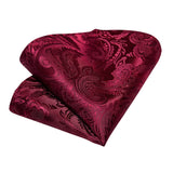 Funki Buys | Neckties | Men's 3 Pcs Red Silk Paisley Tie Set