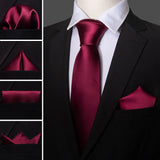 Funki Buys | Neckties | Men's 3 Pcs Premium Burgundy Tie Set