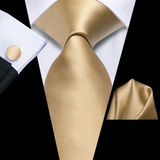 Funki Buys | Neckties | Men's 3 Pcs Luxury Champagne Gold Tie Set
