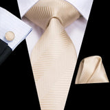 Funki Buys | Neckties | Men's 3 Pcs Luxury Beige Formal Tie Set