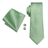 Funki Buys | Neckties | Men's 3 Pcs Sage Green Luxury Tie Set