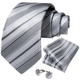 Funki Buys | Neckties | Men's 3 Pcs Silver Grey Formal Tie Set