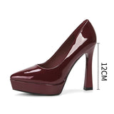Funki Buys | Shoes | Women's Elegant Patent High Heel Pumps