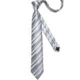 Funki Buys | Neckties | Men's 3 Pcs Silver Grey Formal Tie Set