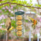 Bird feeder with seeds hanging from a tree branch with birds around