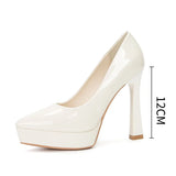 Funki Buys | Shoes | Women's Elegant Patent High Heel Pumps