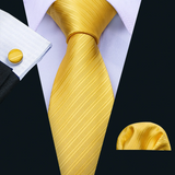 Funki Buys | Neckties | Men's 3 Pcs Yellow Luxury Formal Tie Set