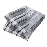 Funki Buys | Neckties | Men's 3 Pcs Silver Grey Formal Tie Set