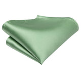 Funki Buys | Neckties | Men's 3 Pcs Sage Green Luxury Tie Set