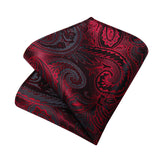 Funki Buys | Neckties | Men's 3 Pcs Burgundy Red Luxury Tie Sets