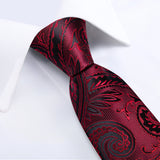 Funki Buys | Neckties | Men's 3 Pcs Burgundy Red Luxury Tie Sets