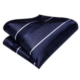 Funki Buys | Neckties | Men's 3 Pcs Navy Formal Silk Tie Set
