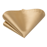 Funki Buys | Neckties | Men's 3 Pcs Luxury Champagne Gold Tie Set