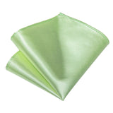 Funki Buys | Neckties | Men's 3 Pcs Green Satin Sheen Tie Set