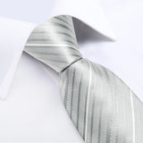 Funki Buys | Neckties | Men's 3 Pcs Silver Grey Formal Tie Set