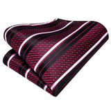 Funki Buys | Neckties | Men's 3 Pcs Burgundy Striped Tie Set