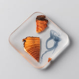 Pine Wood Resin Drink Coasters 6 Pcs - Brown - 1 / Square 6 Pcs Set and Base - Small - Pine Resin - image 2
