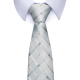 Men's Classic Wedding Business Suit Ties - Gray - 301 - One Size - Polyester - image 2