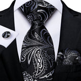 Funki Buys | Neckties | Men's 3 Pcs Paisley Wedding Tie Sets
