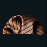 Funki Buys | Neckties | Men's 3 Pcs Bronze Striped Formal Tie Set