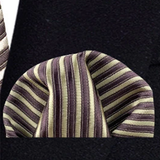 Funki Buys | Neckties | Men's 3 Pcs Brown Gold Striped Tie Set