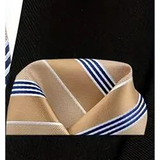 Funki Buys | Neckties | Men's 3 Pcs Beige White Striped Tie Set
