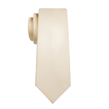Funki Buys | Neckties | Men's 3 Pcs Elegant Cream Formal Tie Set