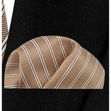 Funki Buys | Neckties | Men's 3 Pcs Bronze Beige Striped Tie Set