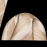Funki Buys | Neckties | Men's 3 Pcs Beige Striped Formal Tie Set