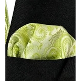 Funki Buys | Neckties | Men's 4 Pcs Lime Paisley Luxury Tie Set
