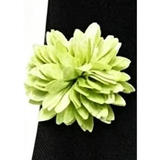 Funki Buys | Neckties | Men's 4 Pcs Lime Paisley Luxury Tie Set