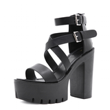 Funki Buys | Shoes | Women's Sexy High Chunky Heel Platforms
