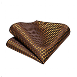 Funki Buys | Neckties | Men's 3 Pcs Luxury Bronze Checked Tie Set