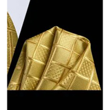 Funki Buys | Neckties | Men's 3 Pcs Golden Yellow Checked Tie Set