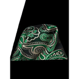 Funki Buys | Neckties | Men's 3 Pcs Green Paisley Tie Set