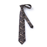 Funki Buys | Neckties | Men's 3 Pcs Silk Paisley Tie Set