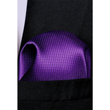 Funki Buys | Neckties | Men's 3 Pcs Luxury Purple Formal Tie Set