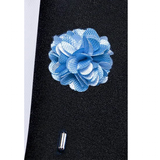 Funki Buys | Neckties | Men's 4 Pcs Pale Blue Formal Tie Set