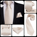 Funki Buys | Neckties | Men's 3 Pcs Luxury Beige Wedding Tie Set