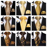Funki Buys | Neckties | Men's 3 Pcs Classic Gold Tie Set