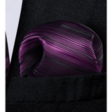 Funki Buys | Neckties | Men's 3 Pcs Dark Purple Formal Tie Set
