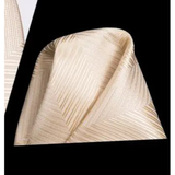 Funki Buys | Neckties | Men's 3 Pcs Luxury Beige Formal Tie Set