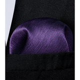 Funki Buys | Neckties | Men's 3 Pcs Elegant Purple Tie Set