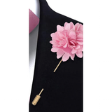 Funki Buys | Neckties | Men's 4 Pcs Luxury Pink Formal Tie Set