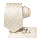 Funki Buys | Neckties | Men's 3 Pcs Luxury Ivory Formal Tie Set