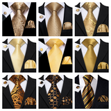 Funki Buys | Neckties | Men's 3 Pcs Classic Gold Tie Set