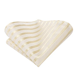 Funki Buys | Neckties | Men's 3 Pcs Luxury Ivory Formal Tie Set