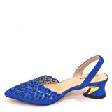 Funki Buys | Shoes | Women's Luxury Venus Chan Shoe Bag Set