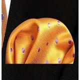 Funki Buys | Neckties | Men's 3 Pcs Gold Purple Polka Dot Tie Set